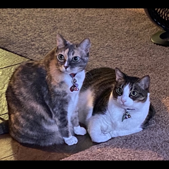 Meet your Posher, Michele - Picture 16 of 16